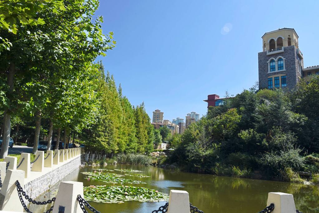 进入小区就像走进森林