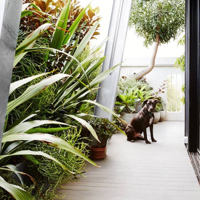 Ben will keep an eye over things between your visits but wont be around while you are here