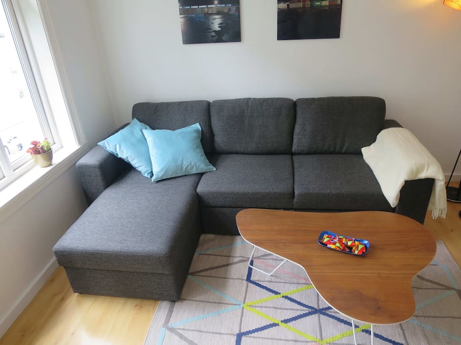 sofa that folds out to a double bed(130x200cm)