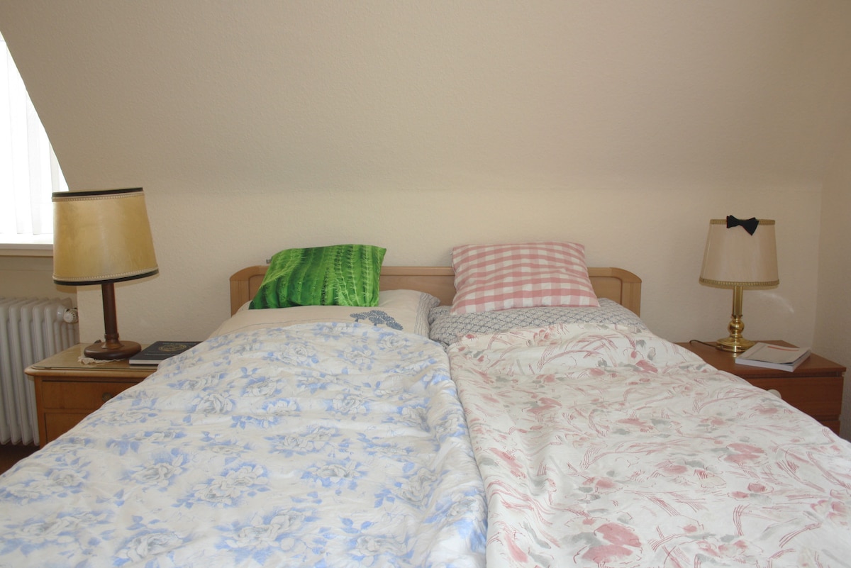 Master bedroom (Bedroom 1)