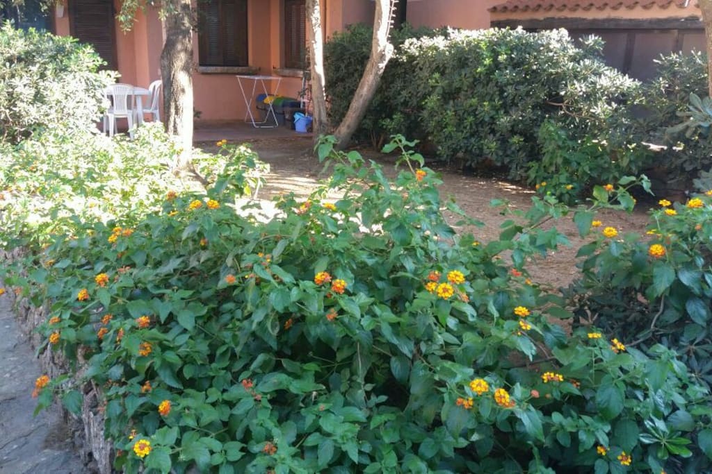 il giardino oggi