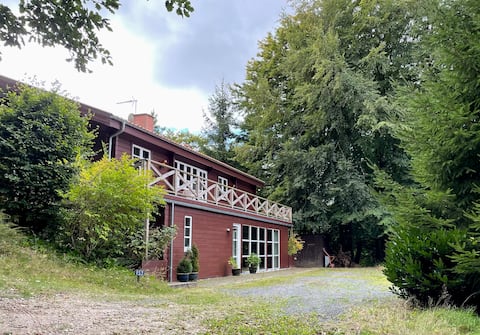 Cozy large wooden house by forest and swimming lake
