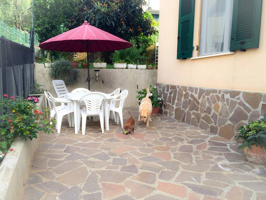 in our house there are 2 dog but they are not in your flat :)