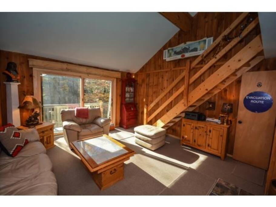 Living room w/ great light during the day (2nd Fl)