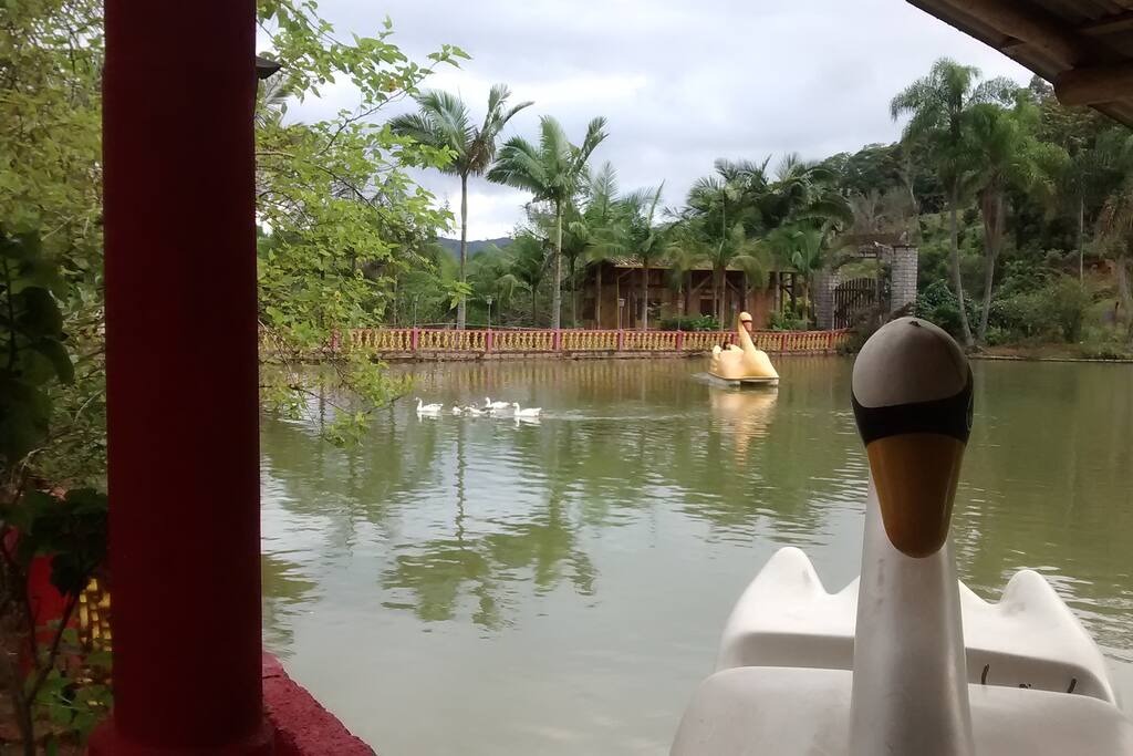 Pedalinhos