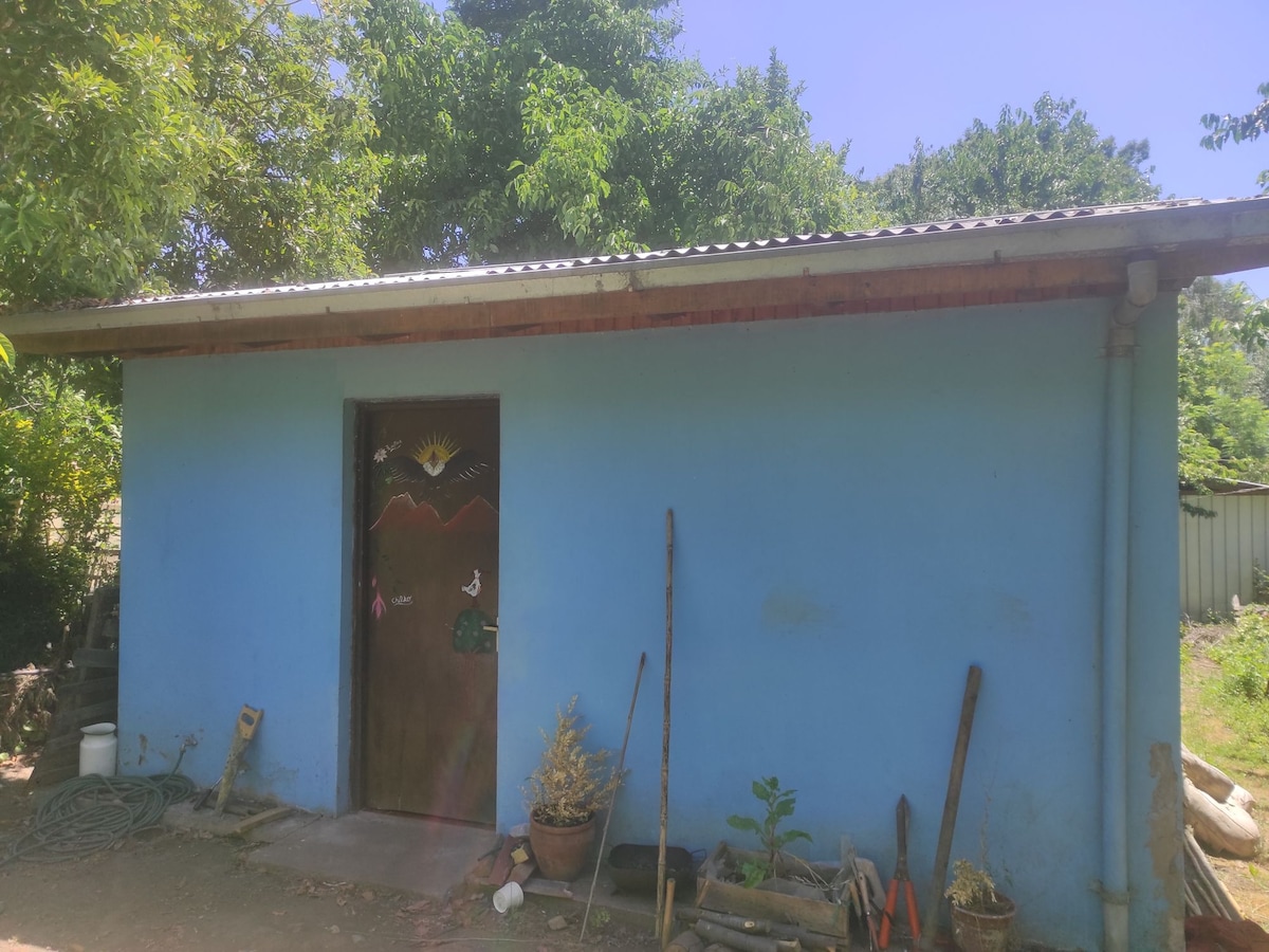 A charming blue building is surrounded by greenery, featuring a simple wooden door decorated with a colorful design. Potted plants are positioned near the entrance, while tools lean against the wall, suggesting an inviting connection to the rural landscape.