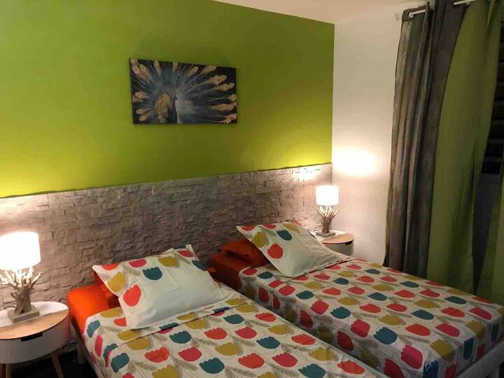 غرفة مكيفة الهواء بسريرين فرديين