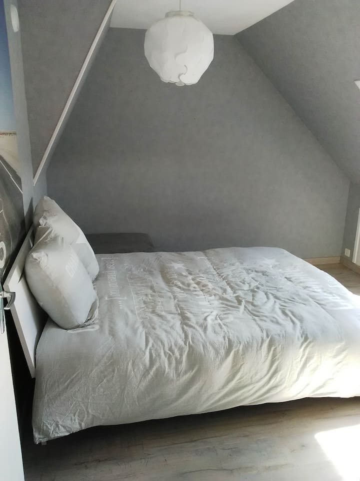 Chumba cha kulala cha kiwango cha juu, mapambo rahisi, kilicho na velux na chumba cha kuvaa.