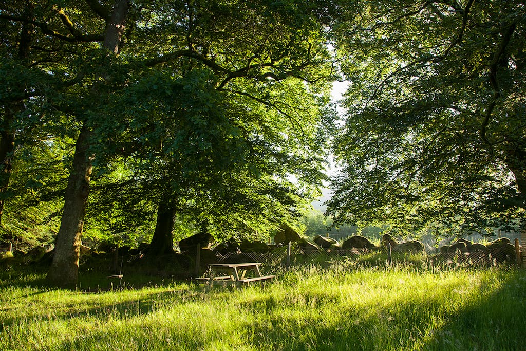 Natures paridise - An acre of grounds and gardens - Here is our upper forest garden