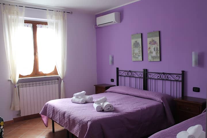 Piccola Perla Guest House - Valmontone