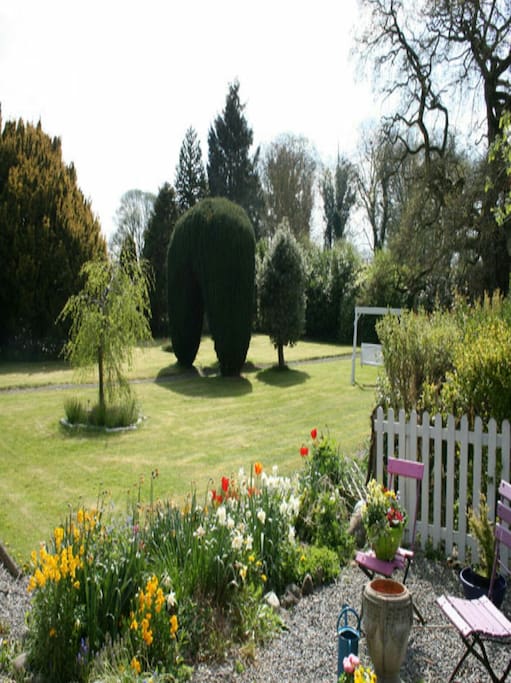 The garden