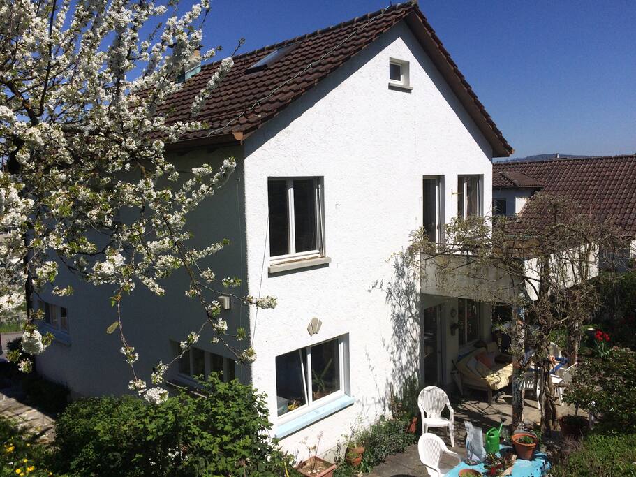 back of house and patio