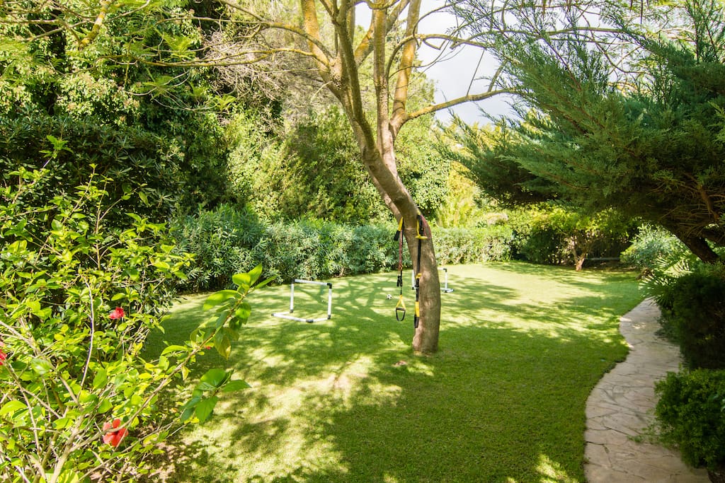lovely grass lawn to play and relax