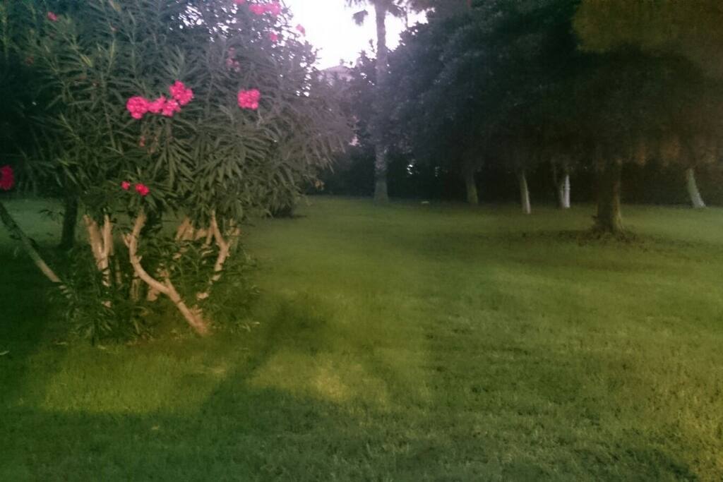 Jardín posterior con piscina
