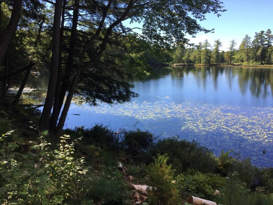 Quiet and tranquil Walker Lake