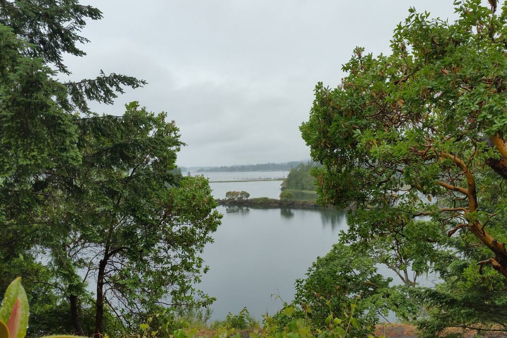 One of the views