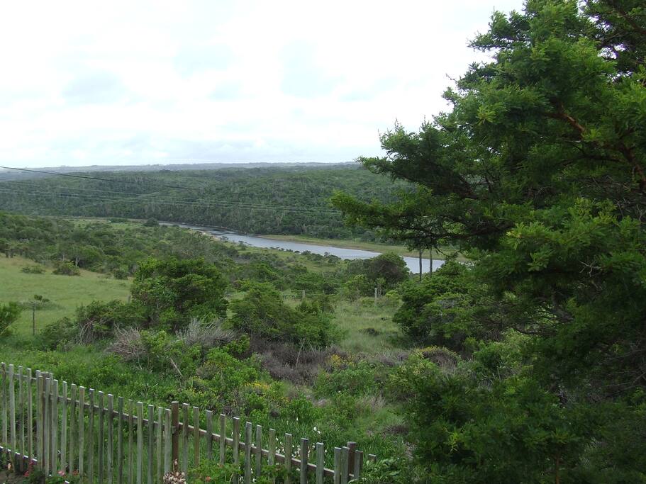 veiw from the deck