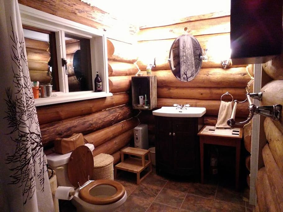 The downstairs bath from the tub.