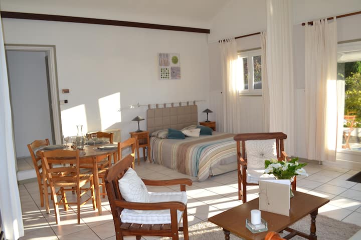 Севкупен поглед на главната соба во стил на поткровје со катедрален таван висок 6 метри