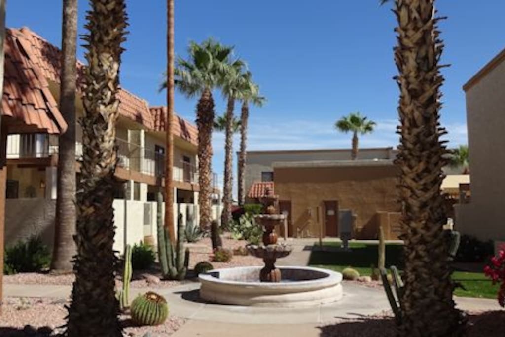 Going out the front entrance of our condo, and turning left will lead to the Hot Tub and picnic area. The courtyard area is landscaped with Oleander and Bouganbillia bushes and various species of cacti.