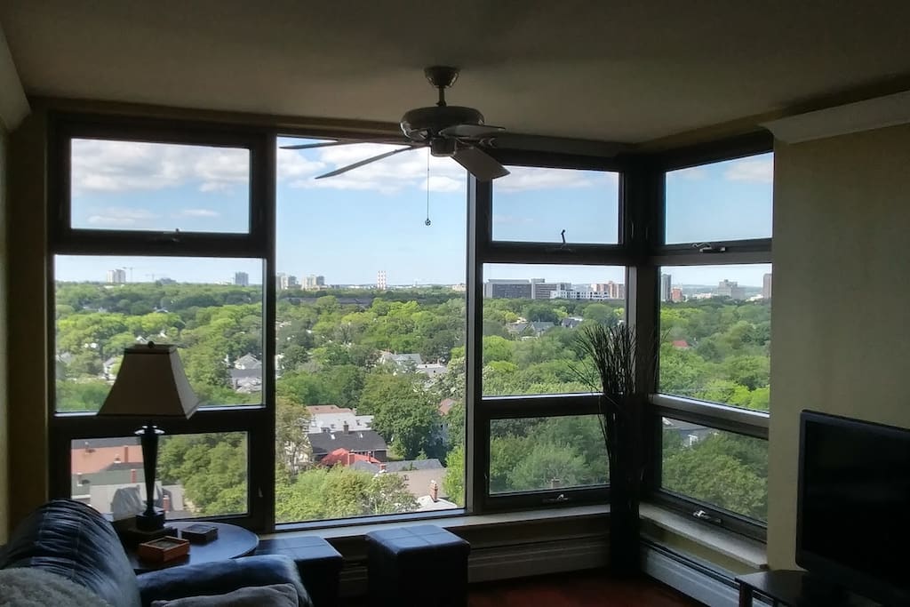 New windows installed last year.