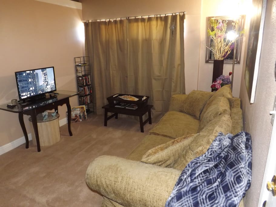 Comfortable Living area with full Sofa Bed. Roku TV with Netflix and Huluplus built in. Wifi.