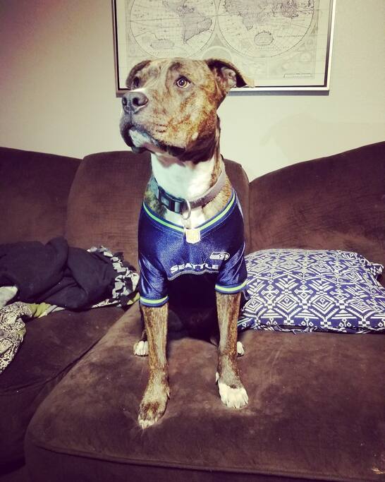 Our spoiled baby