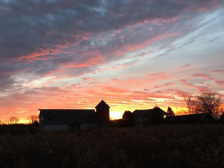 Sunrise over the rock garden