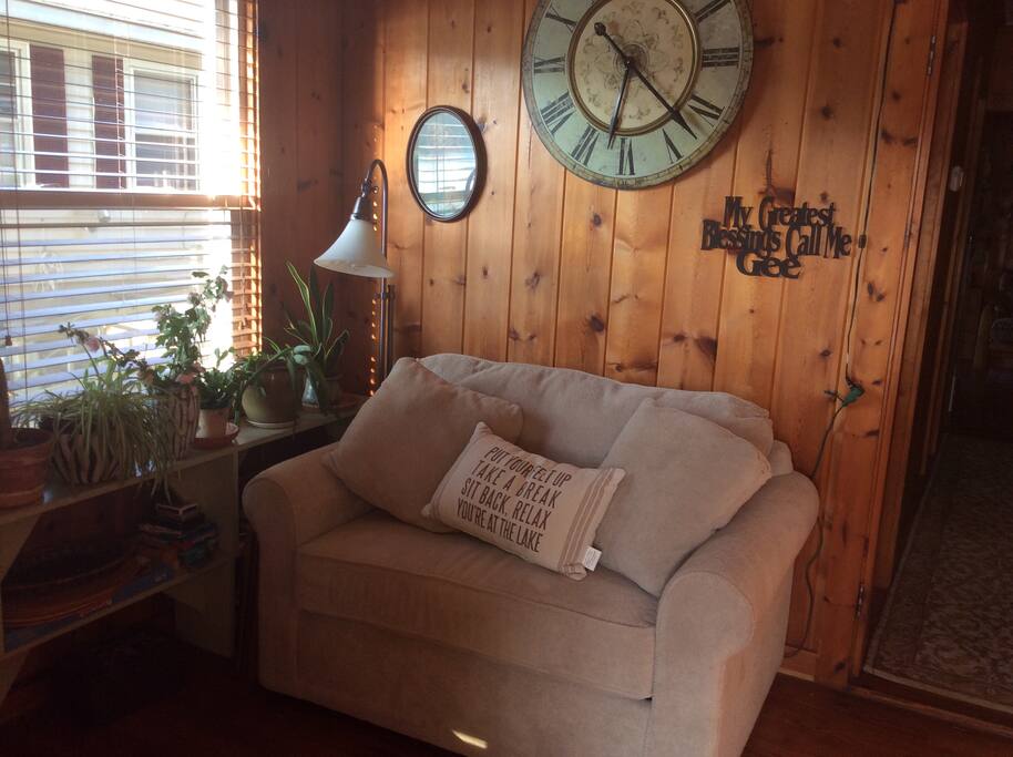 Single sleeper sofa in lake room