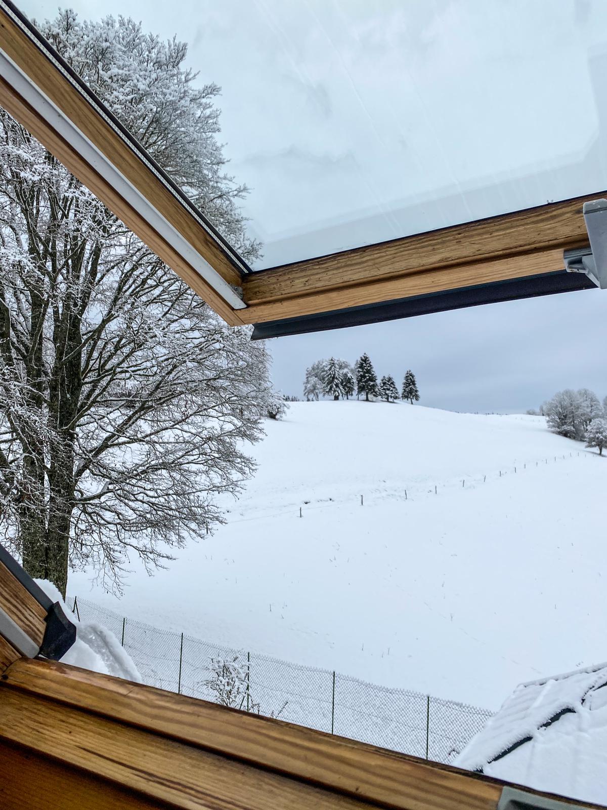 A panoramic view of snow-covered hills is visible through an open skylight, framed by natural wooden beams. Frosted trees dot the landscape, while a gentle gray sky looms above, creating a serene winter atmosphere.