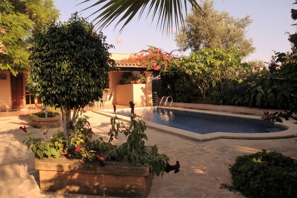 Jardín y piscina