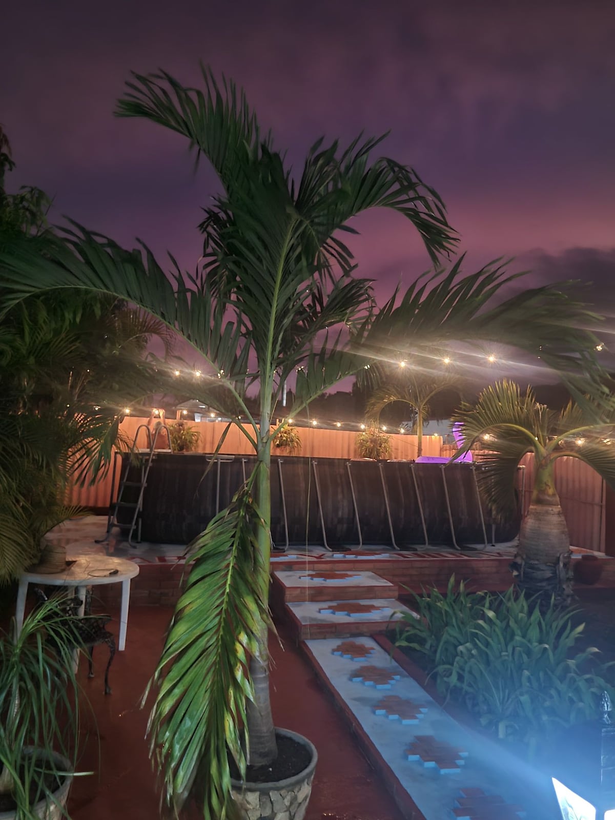 A tropical outdoor space features tall palm trees against a twilight sky, illuminated by softly glowing string lights. Planters with lush greenery add texture, while a sleek swimming pool reflects the evening colors. A table with chairs is positioned nearby, creating an inviting gathering spot.