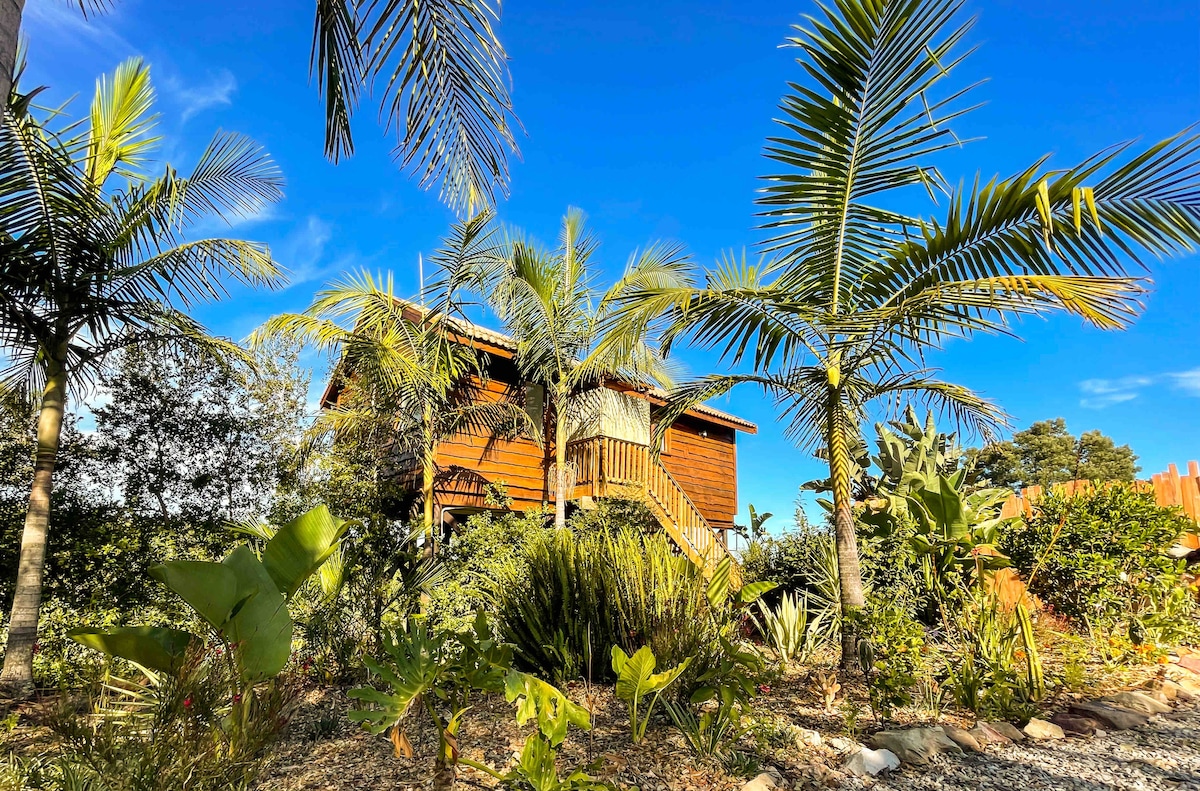A stilted wooden chalet is surrounded by lush greenery and palm trees. The vibrant foliage adds to the natural beauty of the setting under a clear blue sky, emphasizing the peaceful retreat atmosphere.