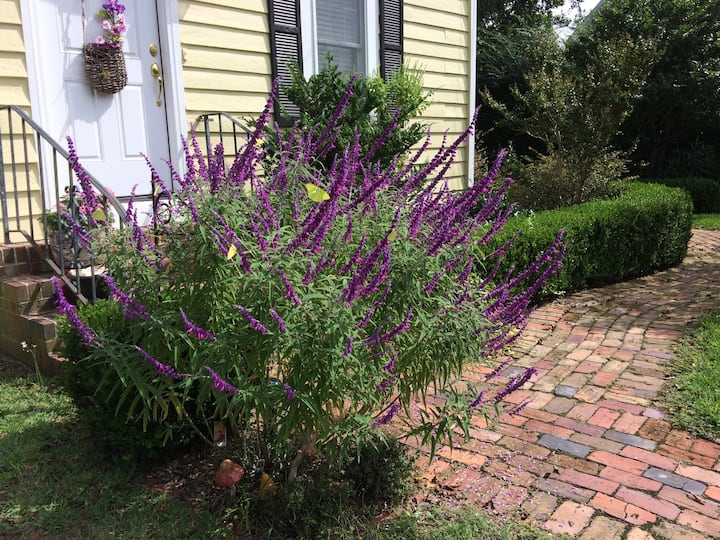 Oriental Ferienwohnungen & Unterkünfte North Carolina, Vereinigte