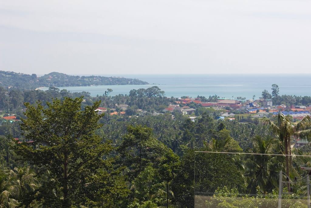 Panoramic view on the Lamaï Bay and the splendid coconut grove