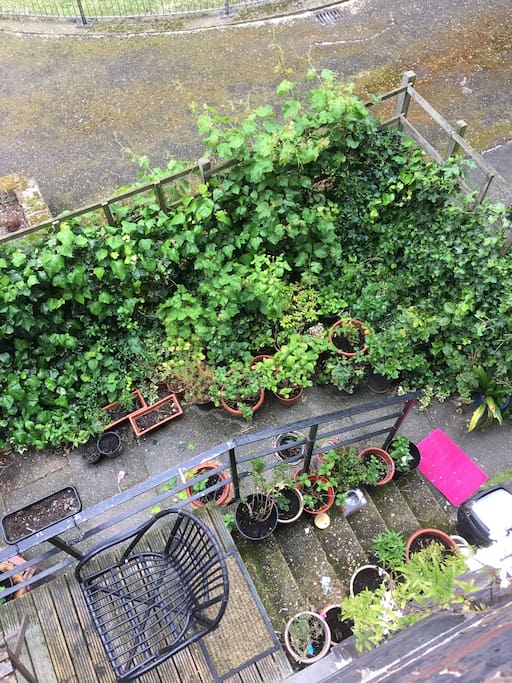 View from the balcony