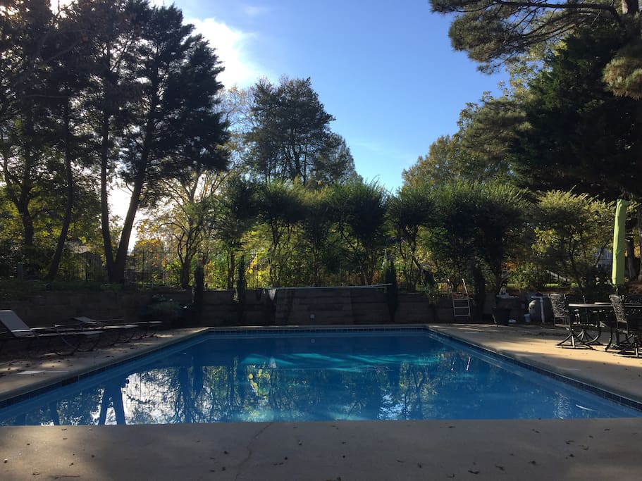40x20 pool