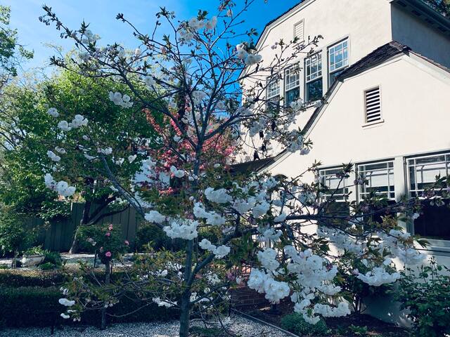 Corporate housing in great area gallery image 2