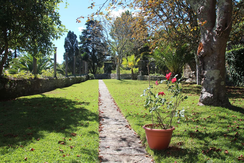 Beautiful, spacious garden