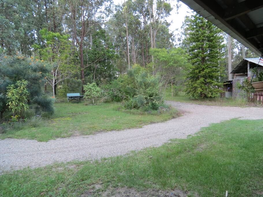 A view of the garden