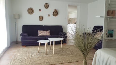 Top performing Airbnb: Maison Planier, peaceful oasis near sea and center in Sausset Les Pins