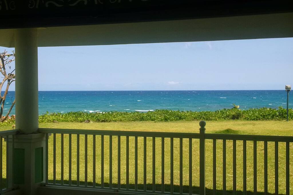 The View