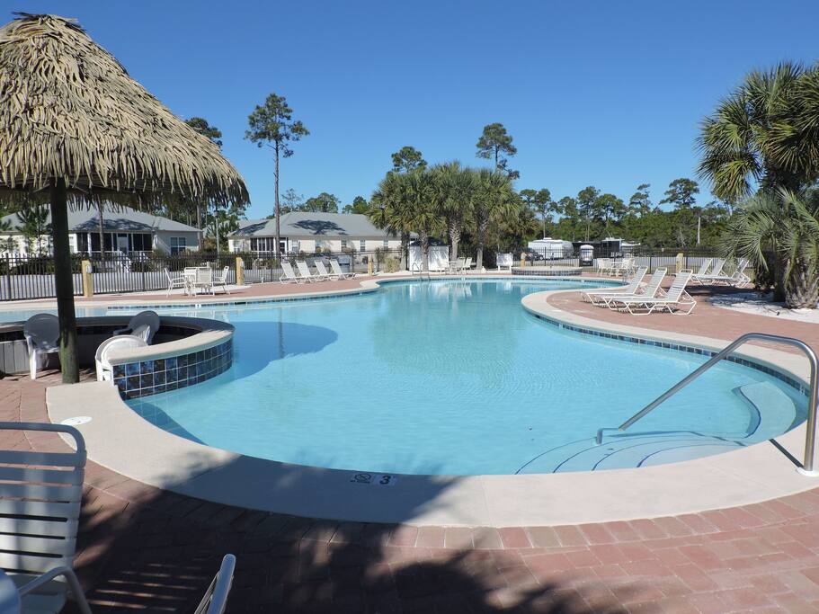 Pool,Water,Resort,Swimming Pool,Palm Tree