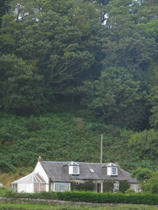 Our house has woodland behind and is protected from the wind