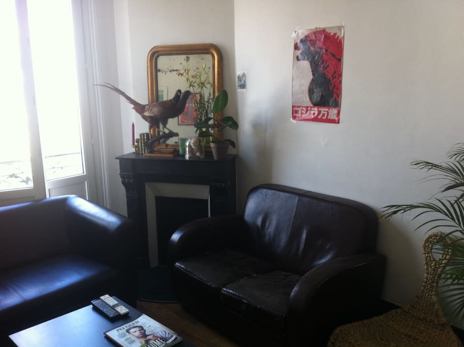 salon
