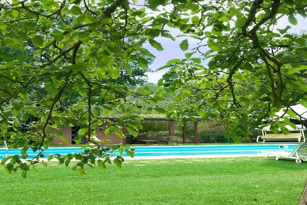 swimming pool