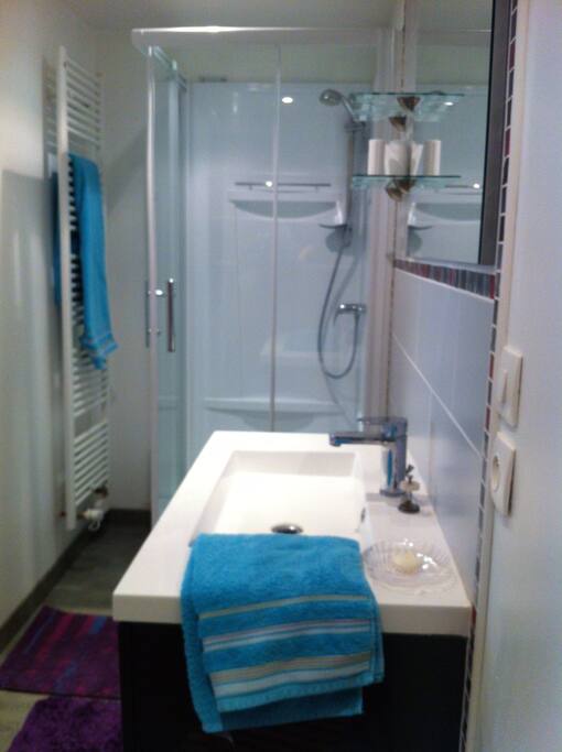 Espace salle de bain avec douche, vasque et wc