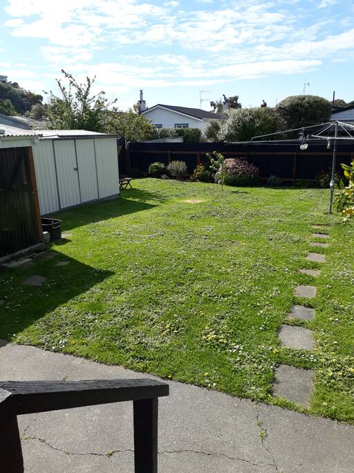 Back yard