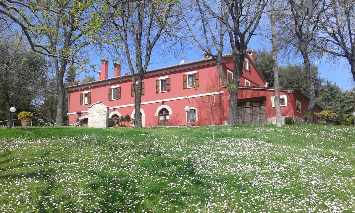 A charming, red-painted farmhouse is nestled among tall trees, surrounded by a lush, green lawn dotted with white flowers. The building features arched windows and a welcoming entrance. The clear sky complements the serene outdoor setting.