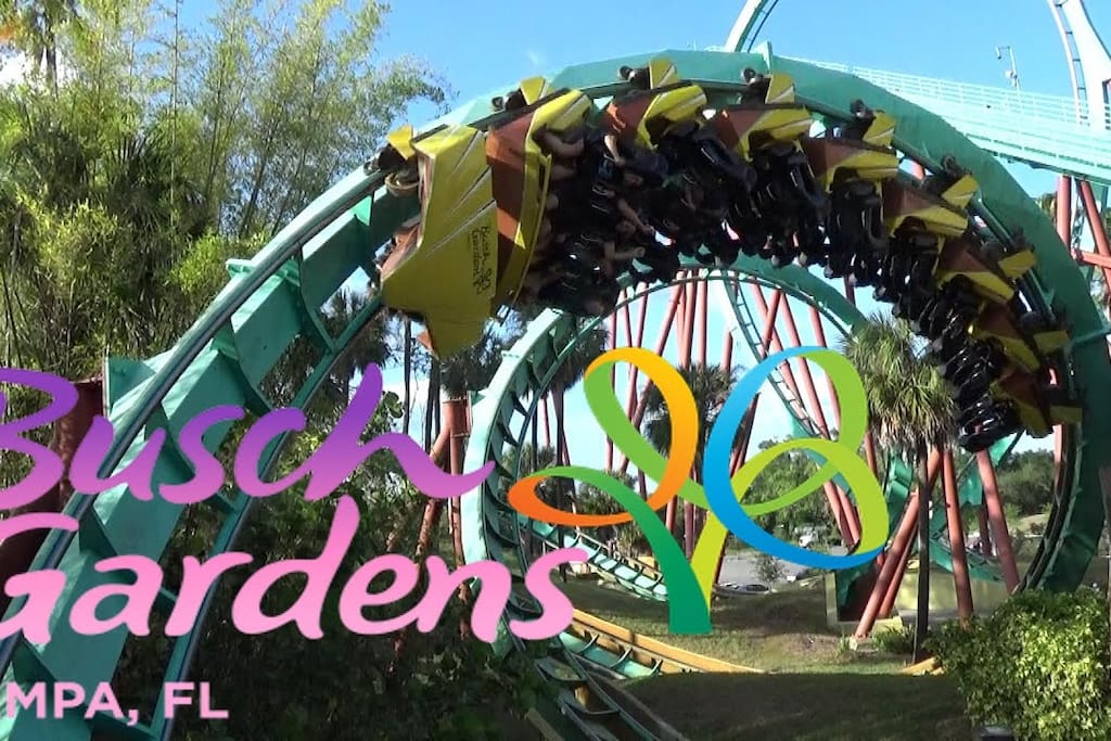 close to Busch Gardens thrilling rides for the adrenalin seekers